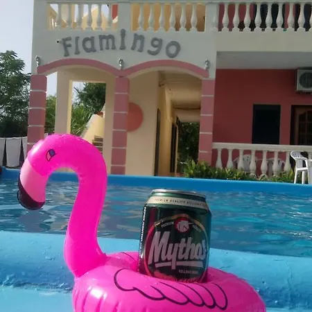Flamingo Corfu Moraitika